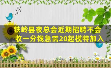 铁岭县夜总会近期招聘不会收一分钱急需20起模特加入